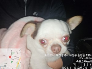 대전동물보호센터_430367202400835
